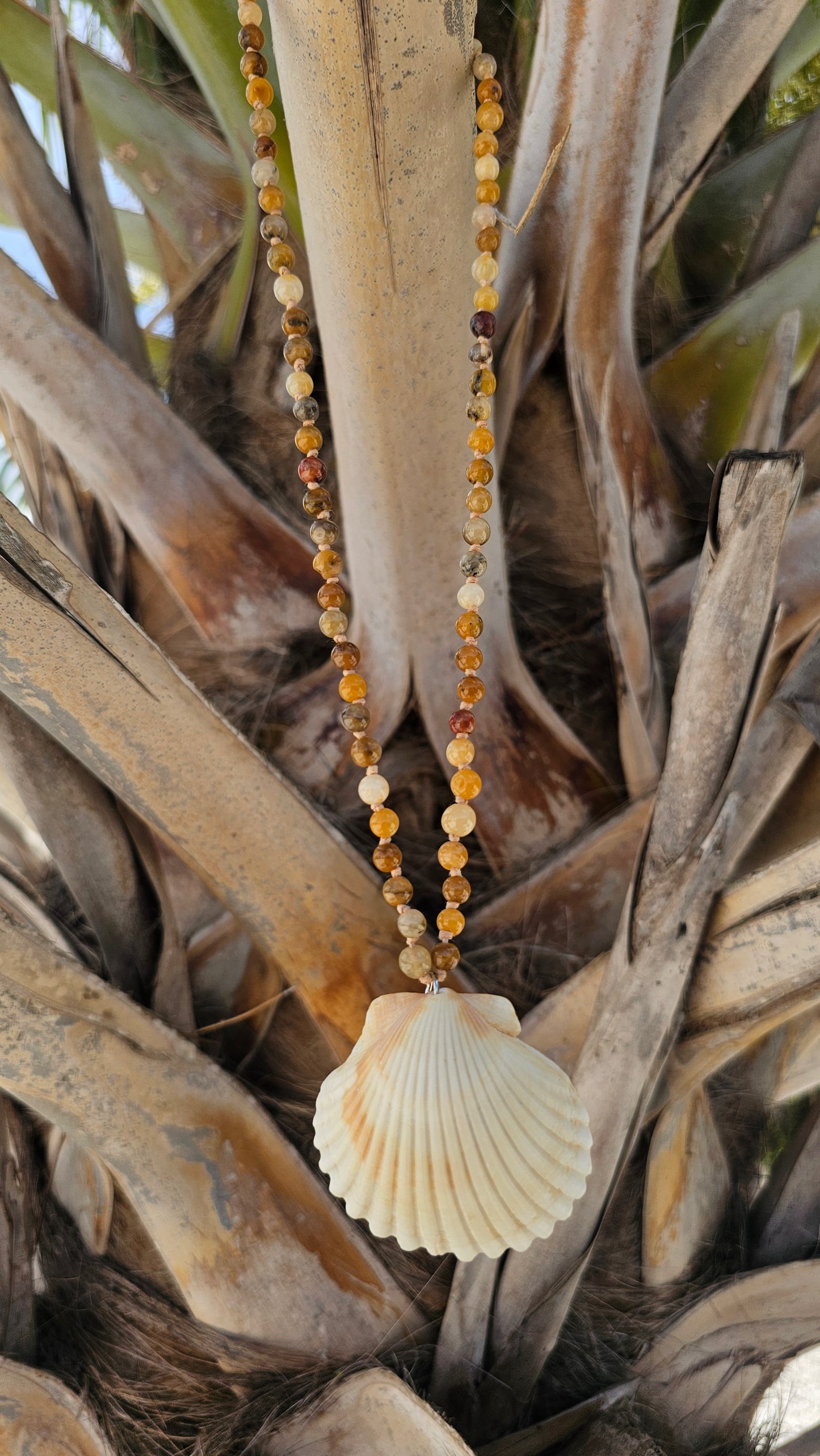 Amber Scallop Necklace