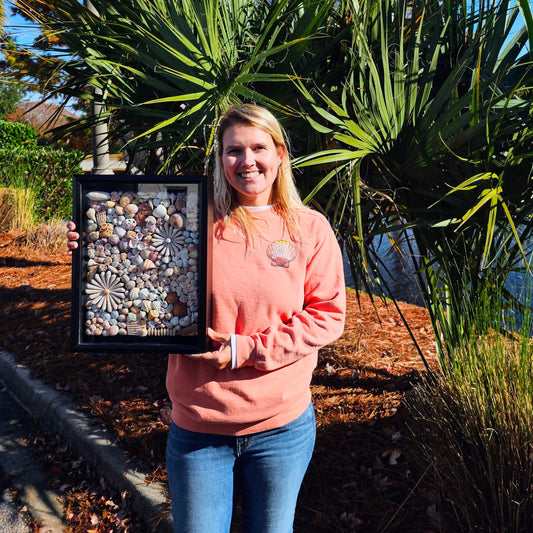 Welcome to She Shells!