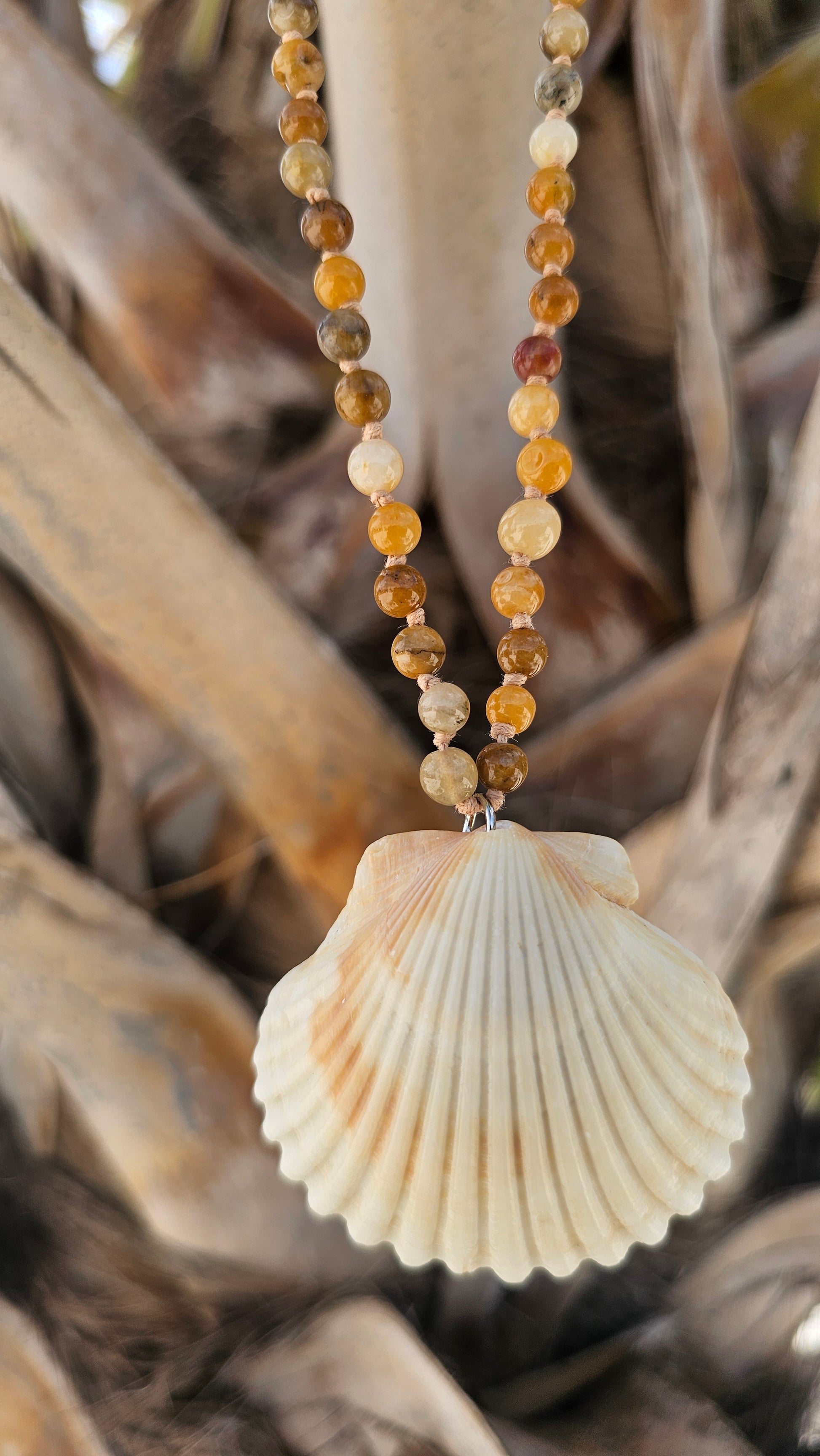 Necklace with shell pendant and bead chain on a natural background