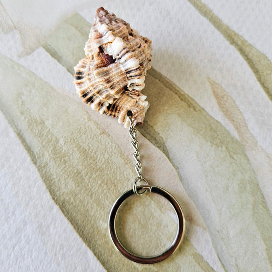 Murex Keychain- Chocolate