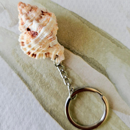 Murex Keychain- Butterscotch