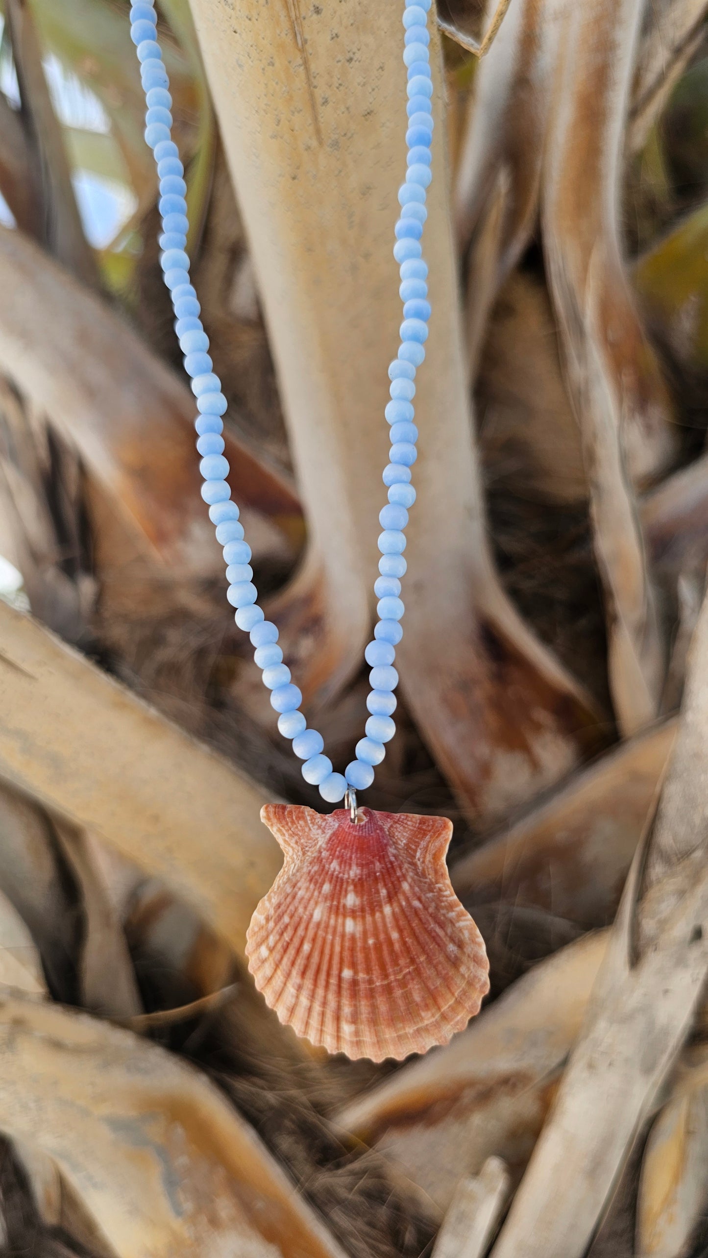Cat's Eye Rough Scallop Necklace