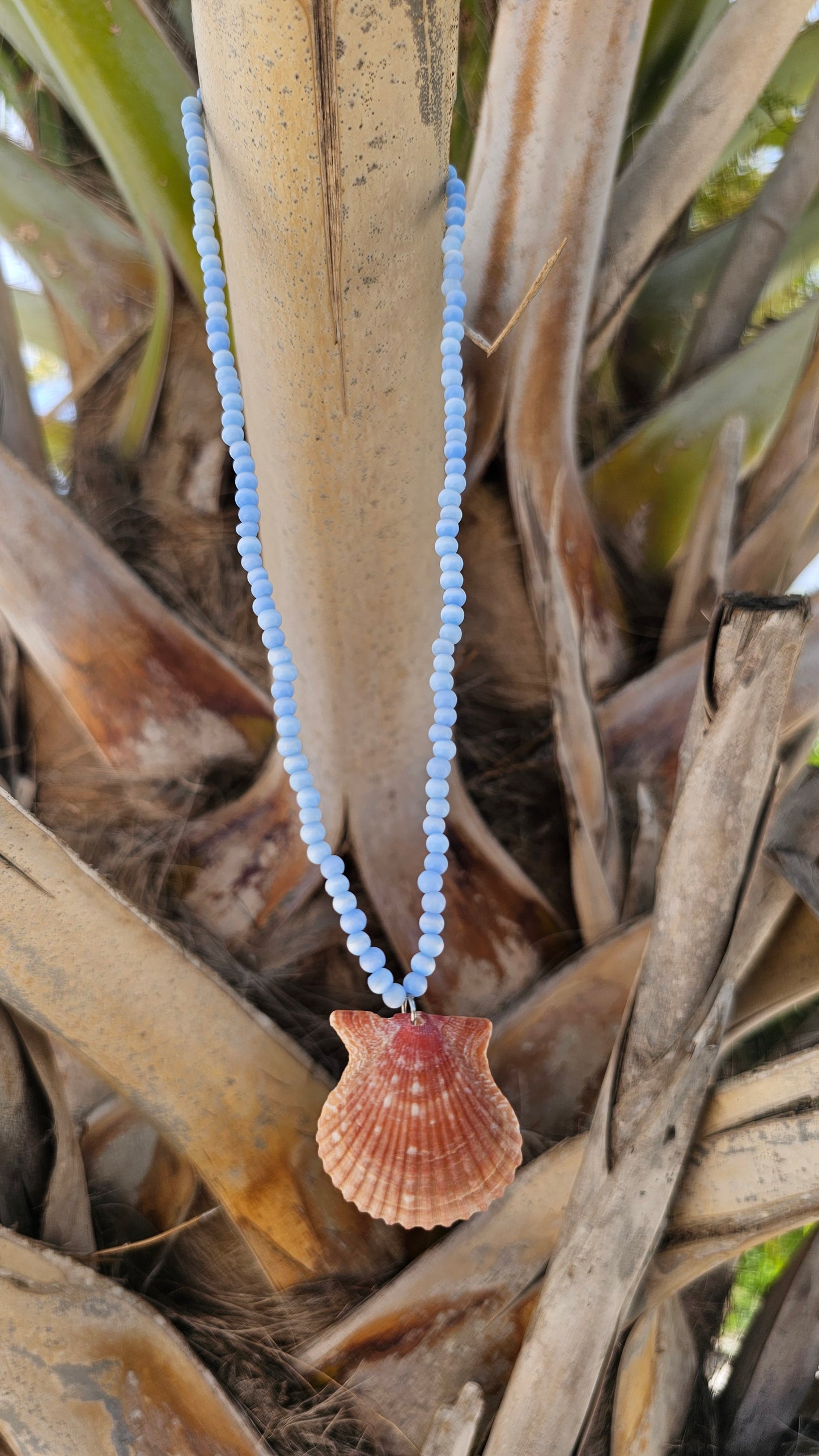 Cat's Eye Rough Scallop Necklace