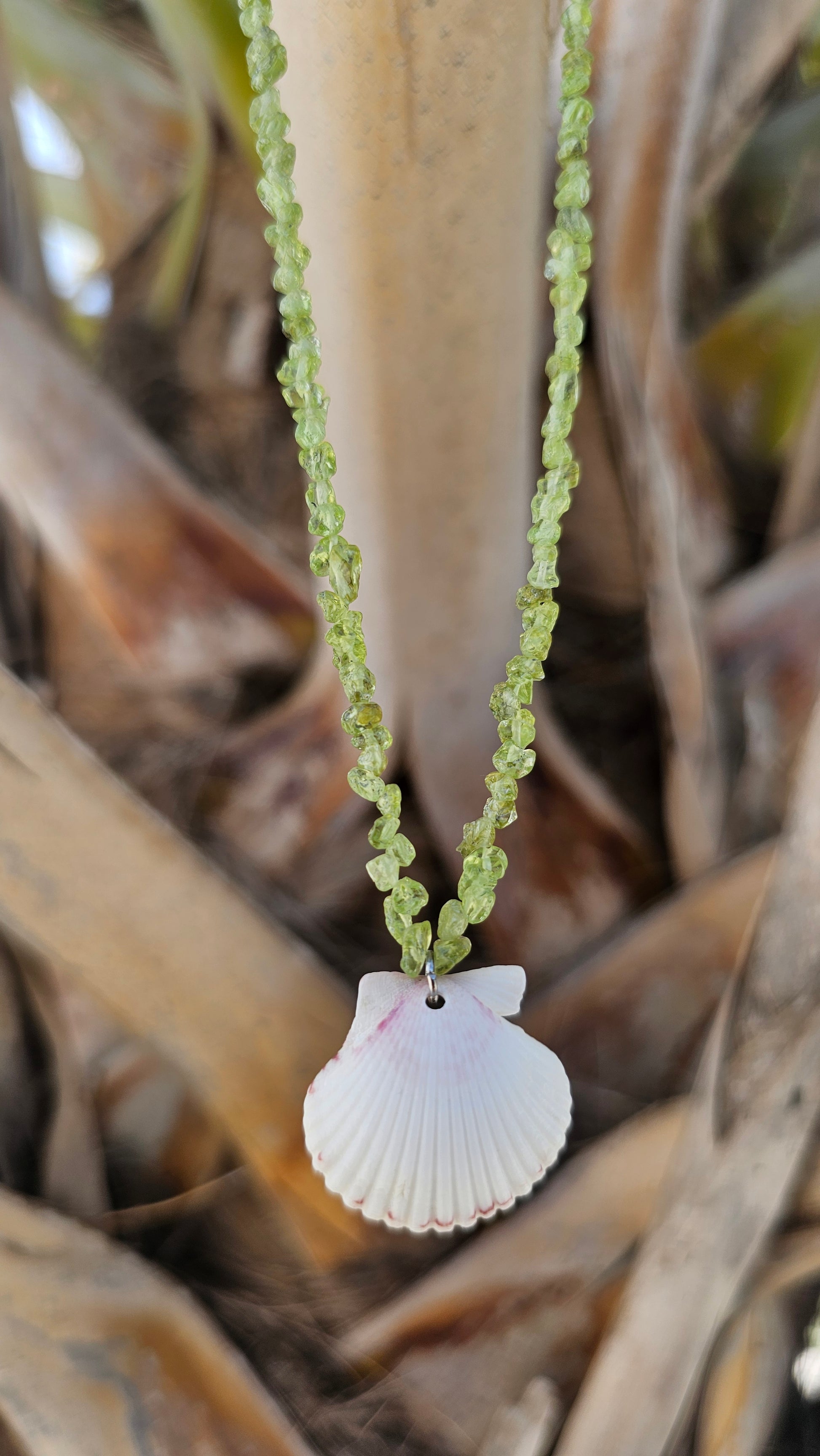 Small white scallop shell on a string of Peridot stone

